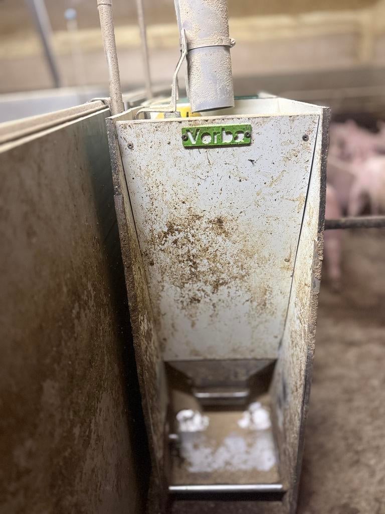 Verba voerbak brijbak, Meerdere dieren, Varken