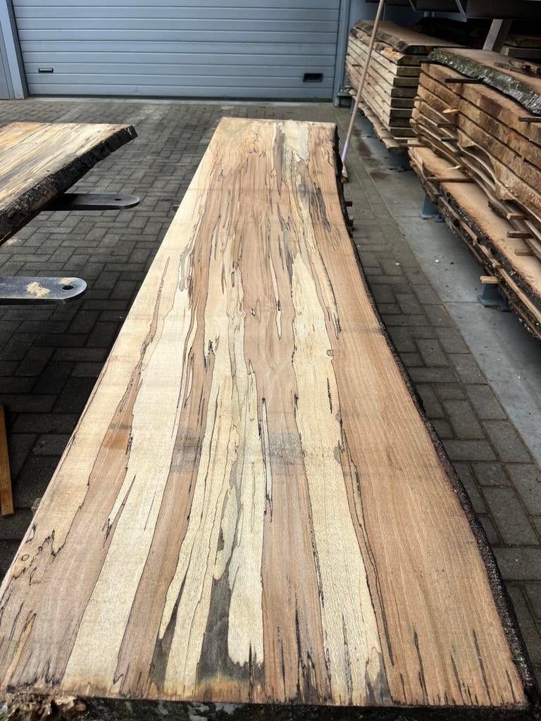 Beuken stamhout met slaap. Rondhout beuken. Schaaldelen, Ophalen, Zo goed als nieuw, 250 cm of meer, Palen