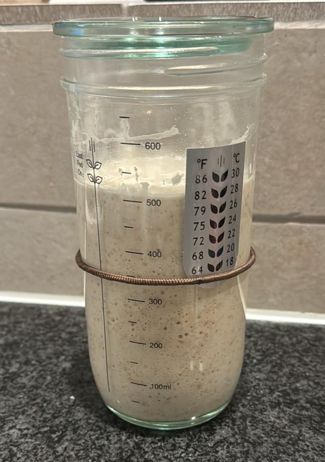 Zuurdesem starter (€5 per 50 gram), Diversen, Ophalen