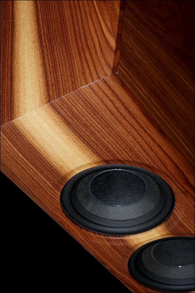 KS Audio audiofiel PA systeem, Nieuw, Ophalen of Verzenden, Bose, 120 watt of meer