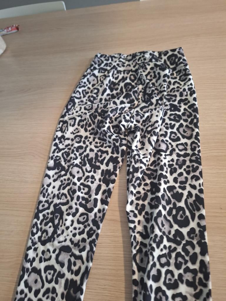 Leopard legging, Maat 38/40 (M), Overige kleuren, Ophalen of Verzenden, No Brand