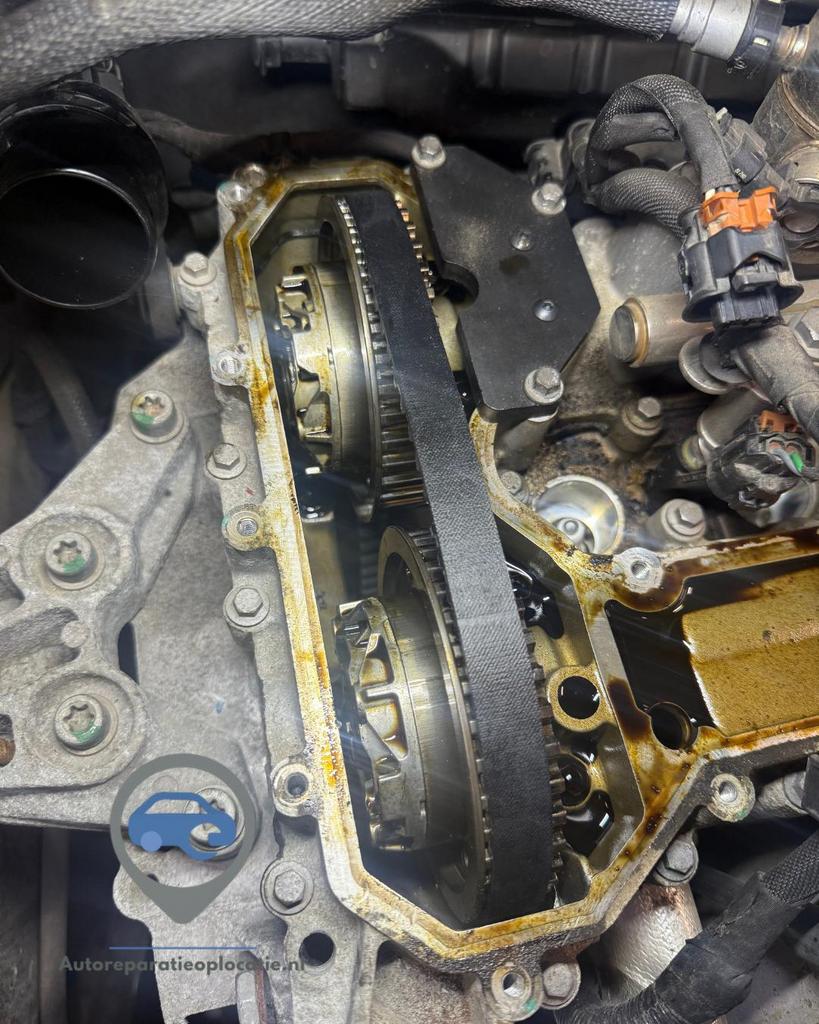 Natte distributieriem, natte riem vervangen ALLE TYPES!, Mobiele service, Overige werkzaamheden