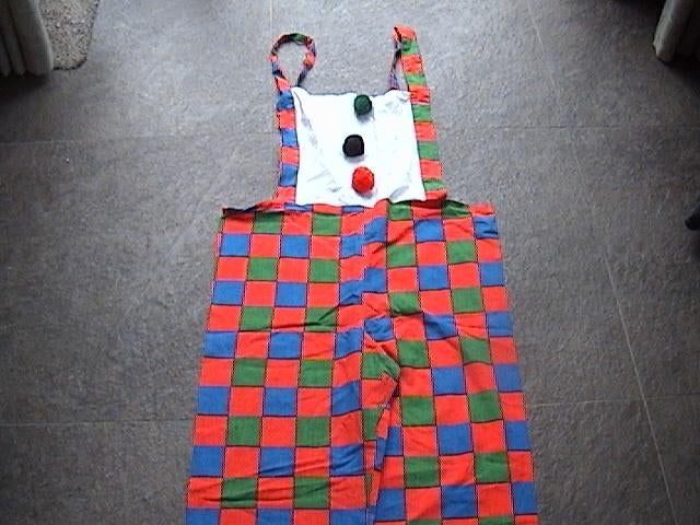 Groen rood blauw geruite / geblokte carnavalsbroek tuinbroek, Maat 38/40 (M), Carnaval, Ophalen of Verzenden, Kleding