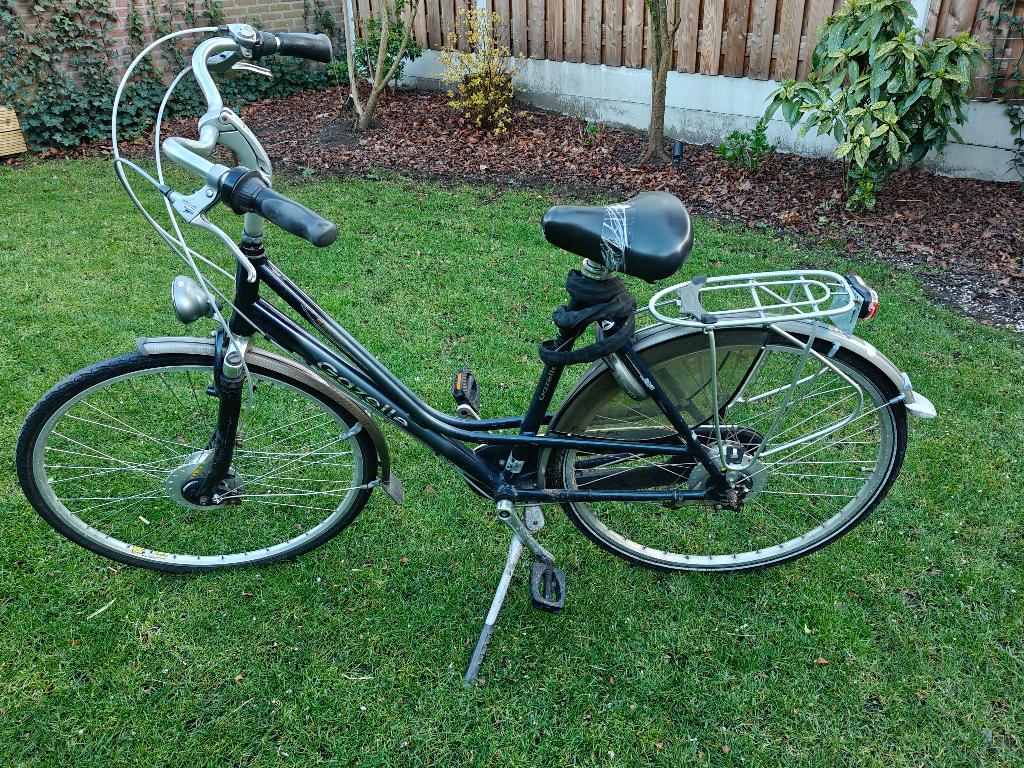 Damesfiets Gazelle, Ophalen, Gebruikt, Versnellingen, 56 cm of meer