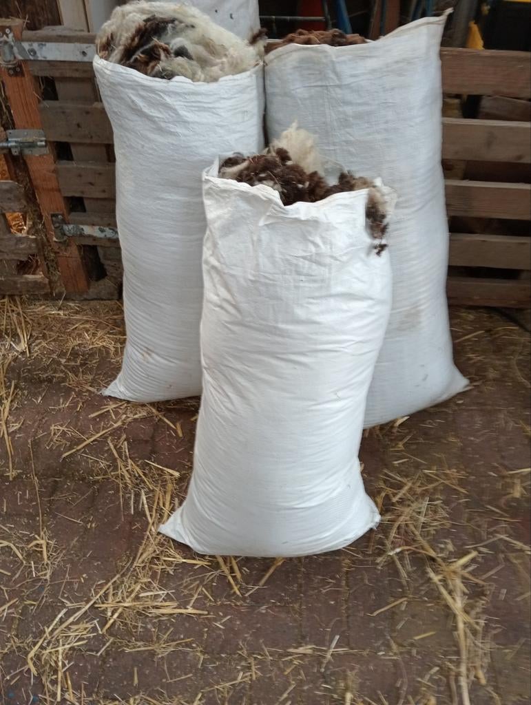 Schapenwol bont, Ophalen