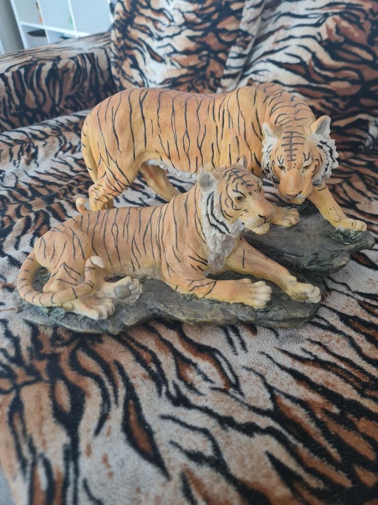 Tijgers beeld., Dieren en Toebehoren, Katten en Kittens | Overige Katten, Kater