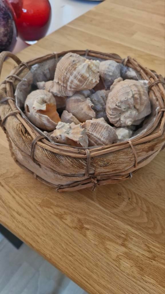 Decoratieve mand met schelpen, Ophalen