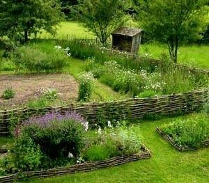 Gezocht: Wilgentakken voor moestuinbakken, Ophalen, Overige soorten, Minder dan 100 cm