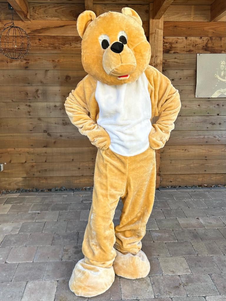 feestje? huur kerstman paashaas / konijn ooievaar sint piet, Hobby en Vrije tijd, Feestartikelen | Verhuur, Zo goed als nieuw