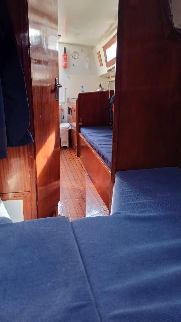 nette zeilboot Super Damio, Watersport en Boten, Ophalen, Gebruikt, Diesel, Tour-wedstrijdjacht