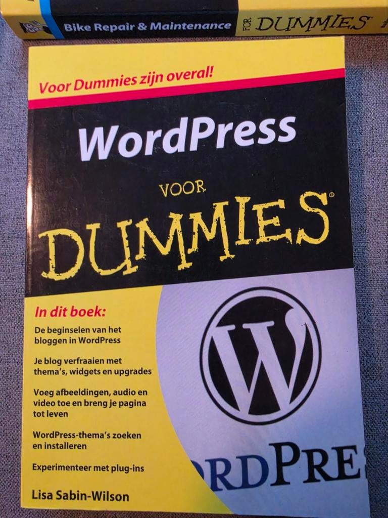 WordPress Voor Dummies, Boeken, Ophalen of Verzenden
