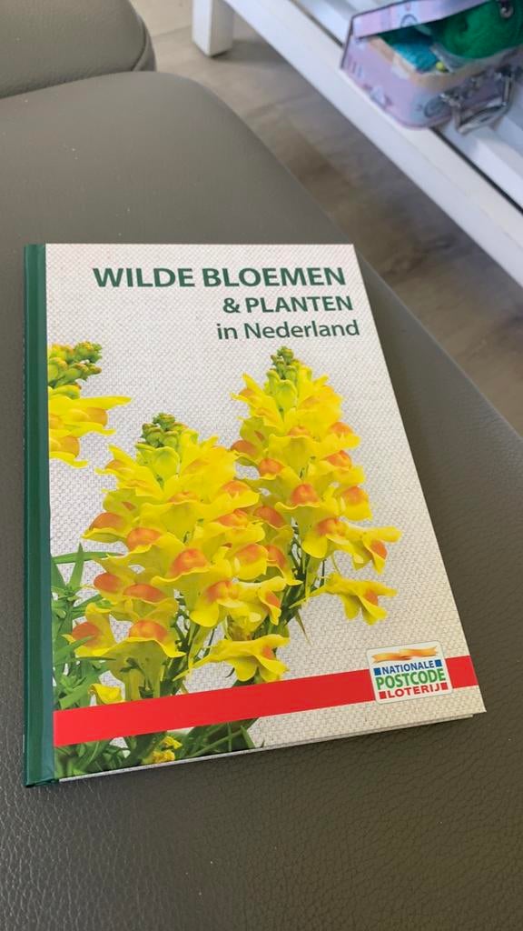 Postcode  boekje wilde bloemen en planten, Boeken, Natuur, Ophalen of Verzenden, Nieuw, Bloemen, Planten en Bomen