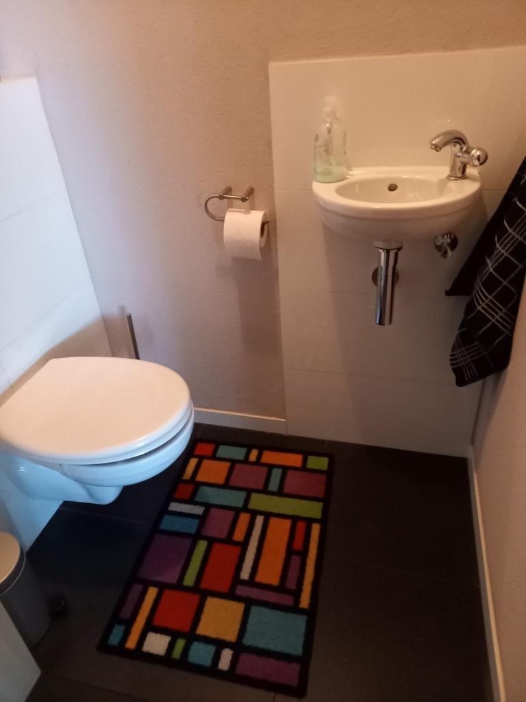 Villeroy & Boch hangtoilet zo goed als nieuw + wc bril, Ophalen, Zo goed als nieuw, Toilet
