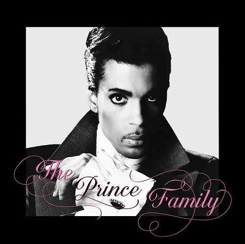 Prince -The Prince Family (Family Album, Prince Vocals) CD, Cd's en Dvd's, Cd's | Pop, Verzenden, 1980 tot 2000, Nieuw in verpakking