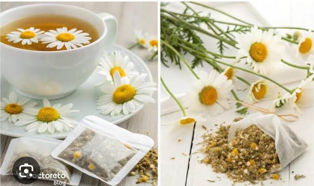 Gezocht kamer appartement