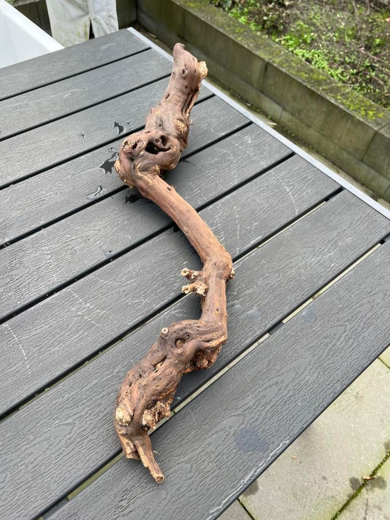 Druiventak knaagdier of reptiel, Ophalen of Verzenden, Gebruikt, Tak, Plant, Rots of Steen