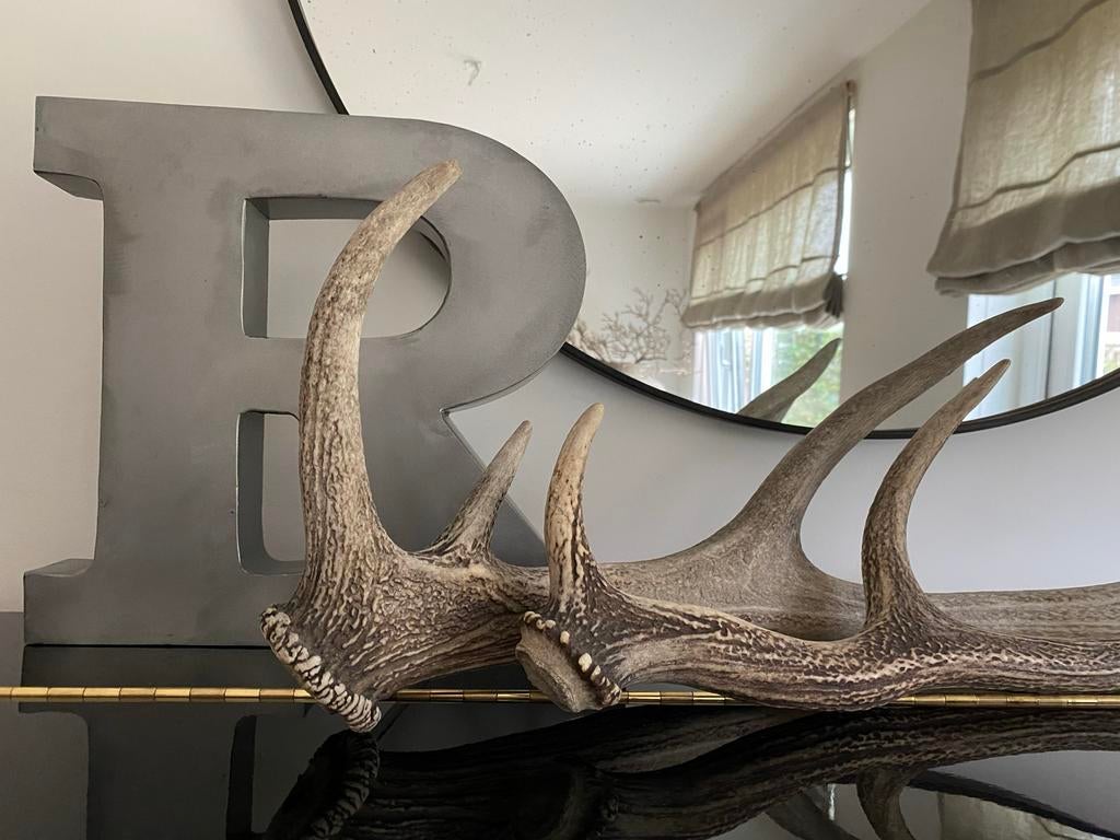 Geweistang 2 - Decoratieve Herten Geweien, Ophalen of Verzenden, Zo goed als nieuw