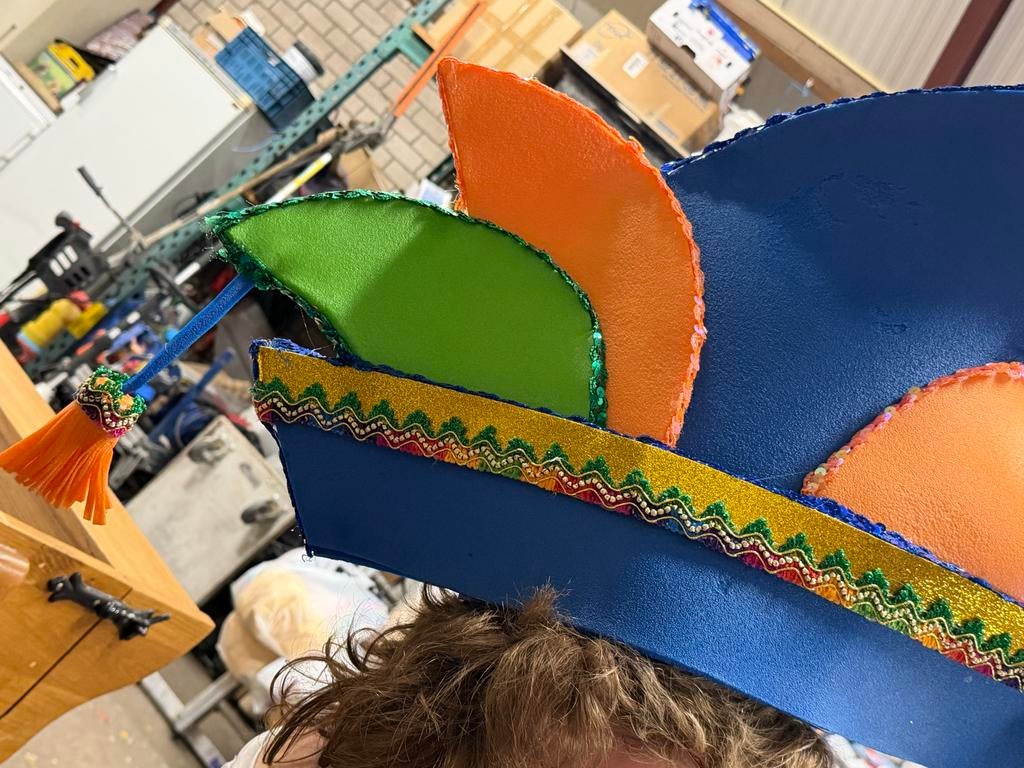 Raad van 11 Steek Carnaval, Ophalen, Carnaval, Maat 46/48 (XL) of groter, Zo goed als nieuw