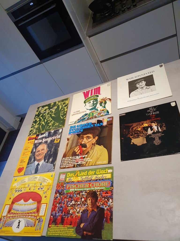 Klassieke LP Platen Collectie, Overige materialen, Minder dan 50 cm, Gebruikt, Minder dan 50 cm