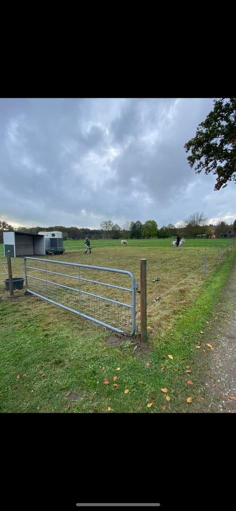 Weiland 7300m2 intresse peiling, Dieren en Toebehoren, Stalling en Weidegang