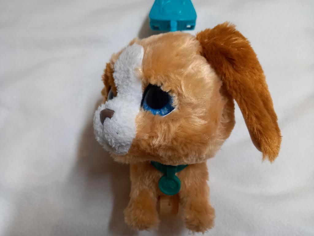 Furreal hondje, Ophalen, Gebruikt, Hond
