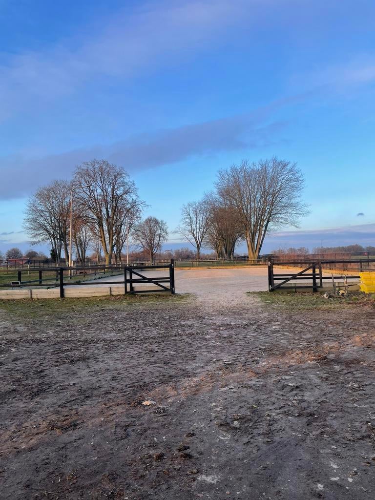 Stalling aan huis, Dieren en Toebehoren, Stalling en Weidegang, Stalling