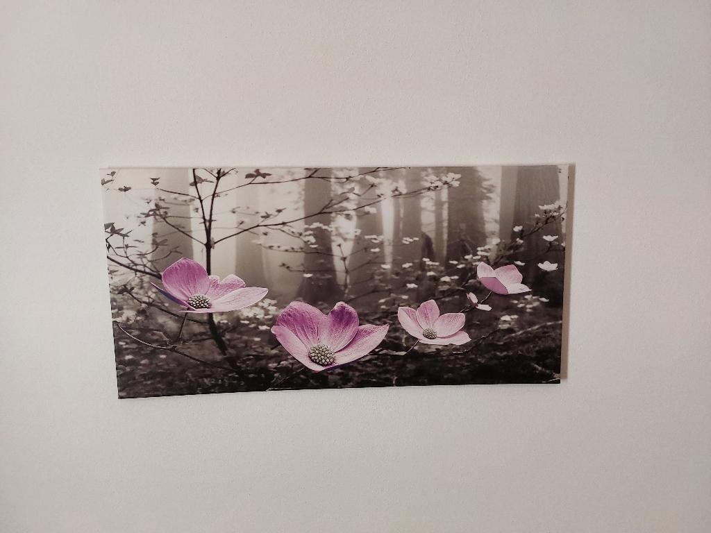 Canvas doek, Ophalen, Overige typen, Nieuw, 75 tot 100 cm