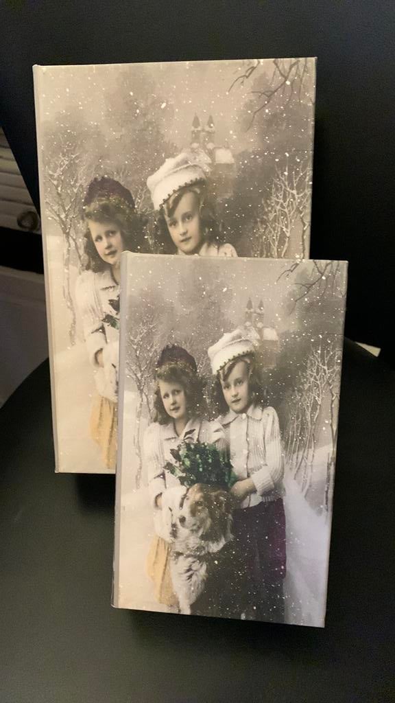 Vintage opbergboek kado doos/ kist hout fotodoos, Ophalen of Verzenden, Zo goed als nieuw, Minder dan 50 cm, Schilderij