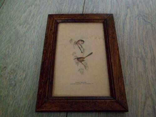 Schilderijtje vogels 12 x 18 cm, Ophalen of Verzenden