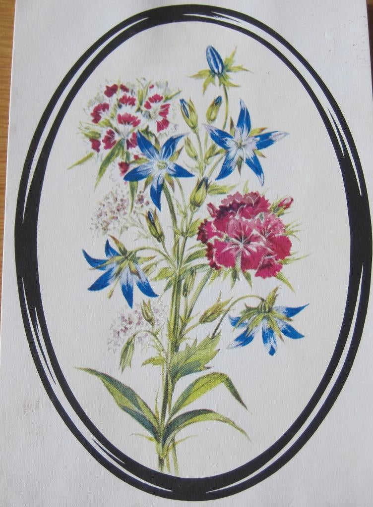 Hendrik Pierson stichting - bloemen in ovaal, Ophalen of Verzenden, 1980 tot heden, Gelopen, Overige thema's