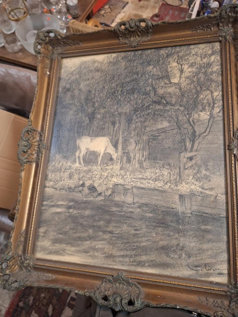 Koeien Tekening  aan de waterkant van ype wenning, Ophalen of Verzenden