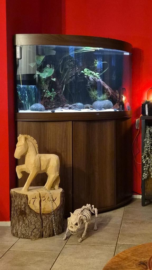 Juwel trigon 350 complete set., Ophalen, Zo goed als nieuw, Gevuld zoetwateraquarium