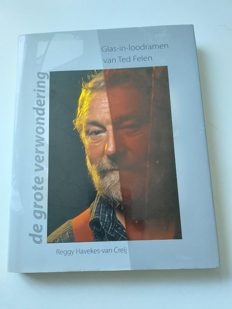 R. Havekes-van Creij De grote verwondering Ted Felen, Boeken, Reggy Havekes - van Creij, Ophalen of Verzenden, Zo goed als nieuw