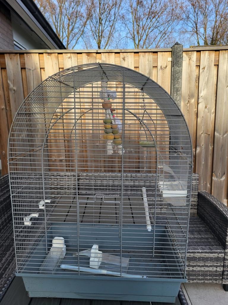 Mooi vogelkooi of voor papegai, Dieren en Toebehoren, Vogels | Hokken en Kooien, Ophalen of Verzenden, Metaal, Vogelkooi