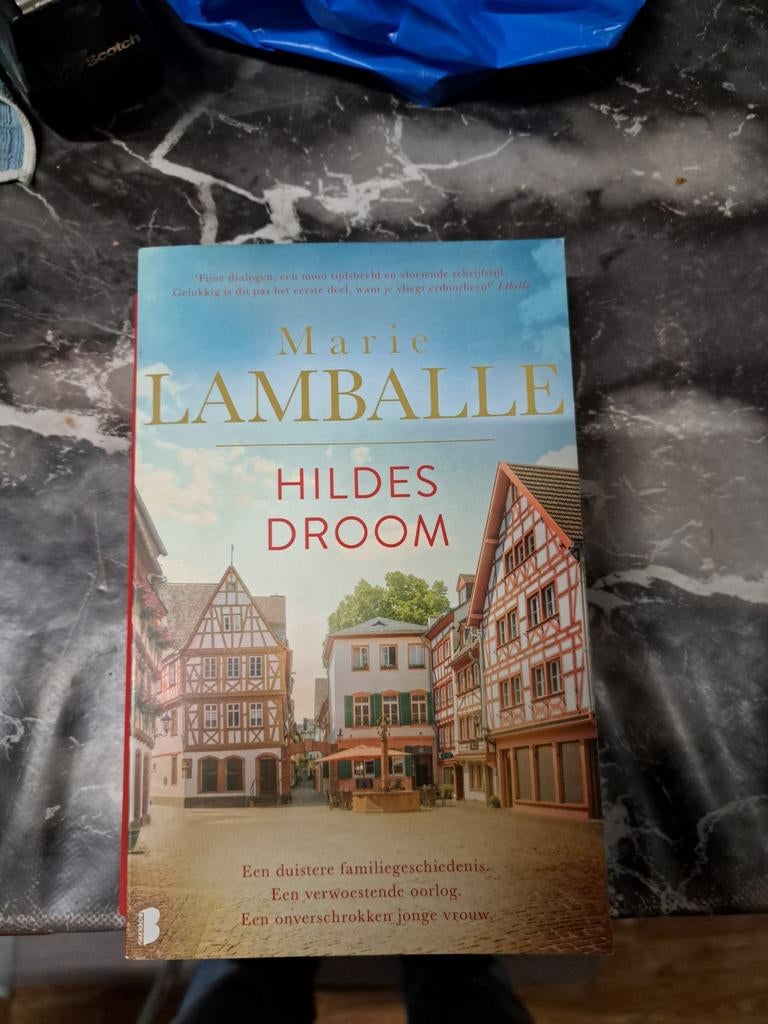 Marie Lamballe - Hildes droom, Ophalen of Verzenden, Zo goed als nieuw, Marie Lamballe