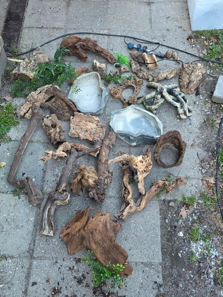 Terarium benodigt heden, Dieren en Toebehoren, Reptielen en Amfibieën | Toebehoren, Ophalen, Gebruikt