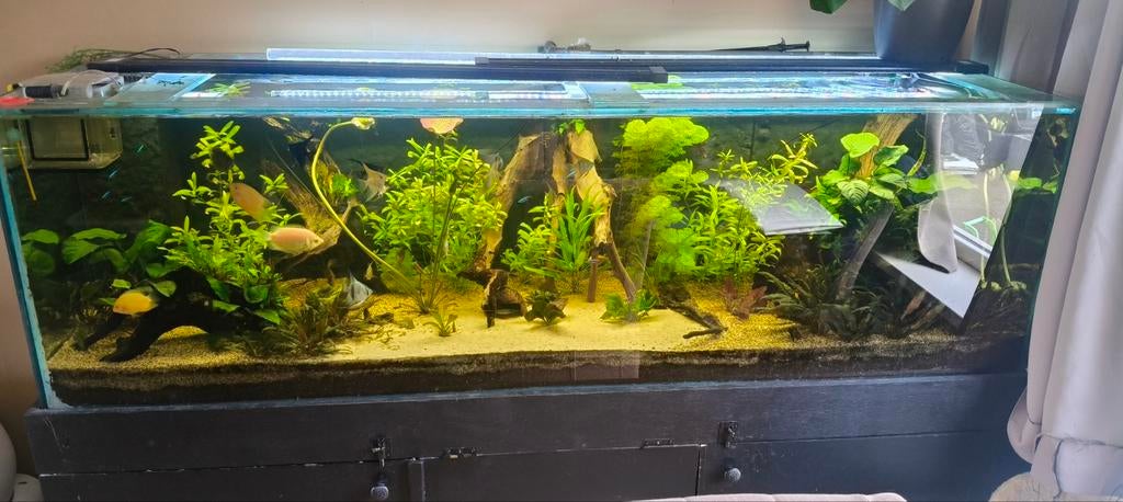 2 meter aquarium Inclusief kast en bioloog, Dieren en Toebehoren, Ophalen, Leeg aquarium