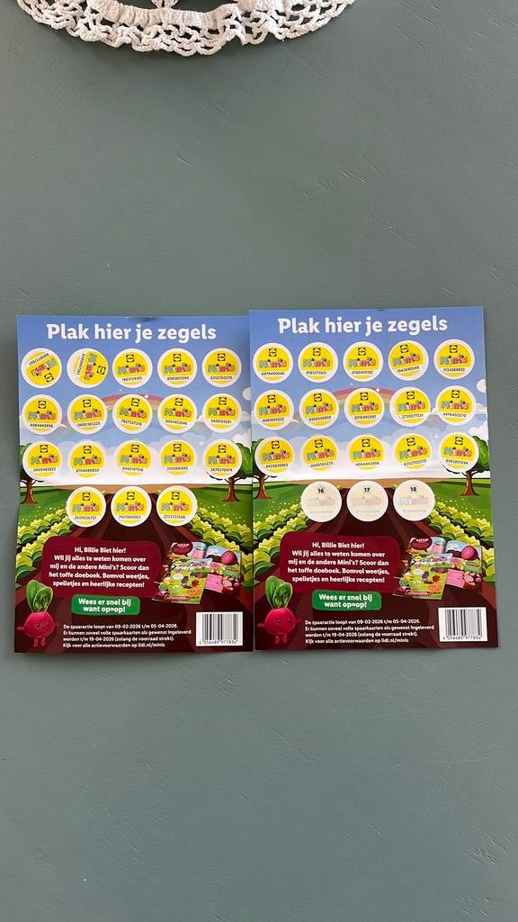 Lidl Mini’s kaarten, Ophalen of Verzenden, Winkel, Super of Benzinepomp, Volle spaarkaart