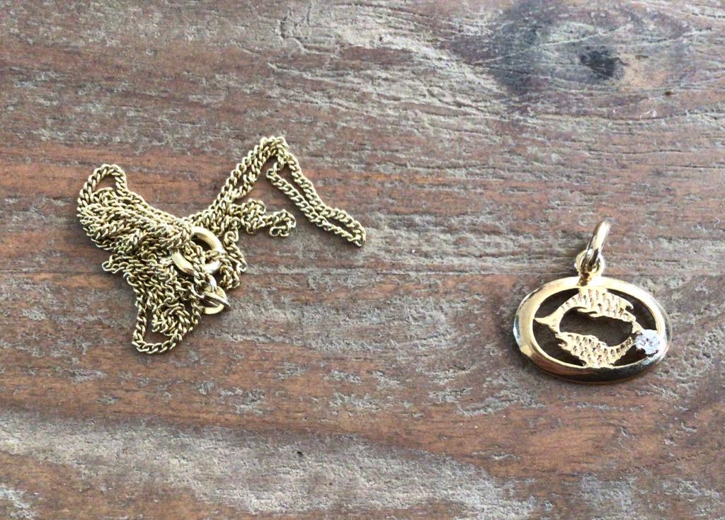 Doublé ketting en hanger met vissen met Swarovski steentje, Sieraden, Tassen en Uiterlijk, Piercings, Ophalen of Verzenden, Zo goed als nieuw