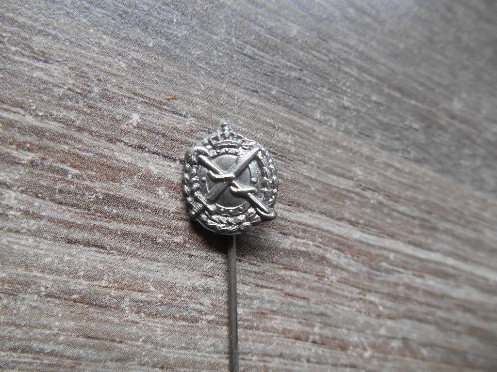 Regiment Geneeskundige Troepen insigne, Verzamelen, Militaria | Algemeen, Landmacht, Overige typen, Nederland, Ophalen of Verzenden