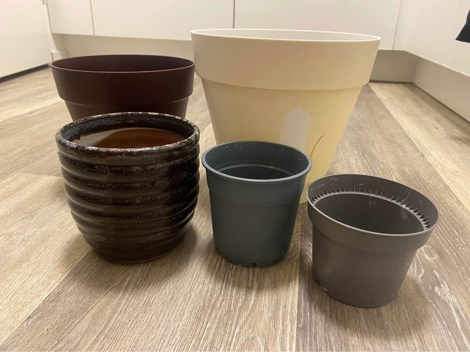 Flower plant pot, Ophalen of Verzenden, Overige soorten, Volle zon