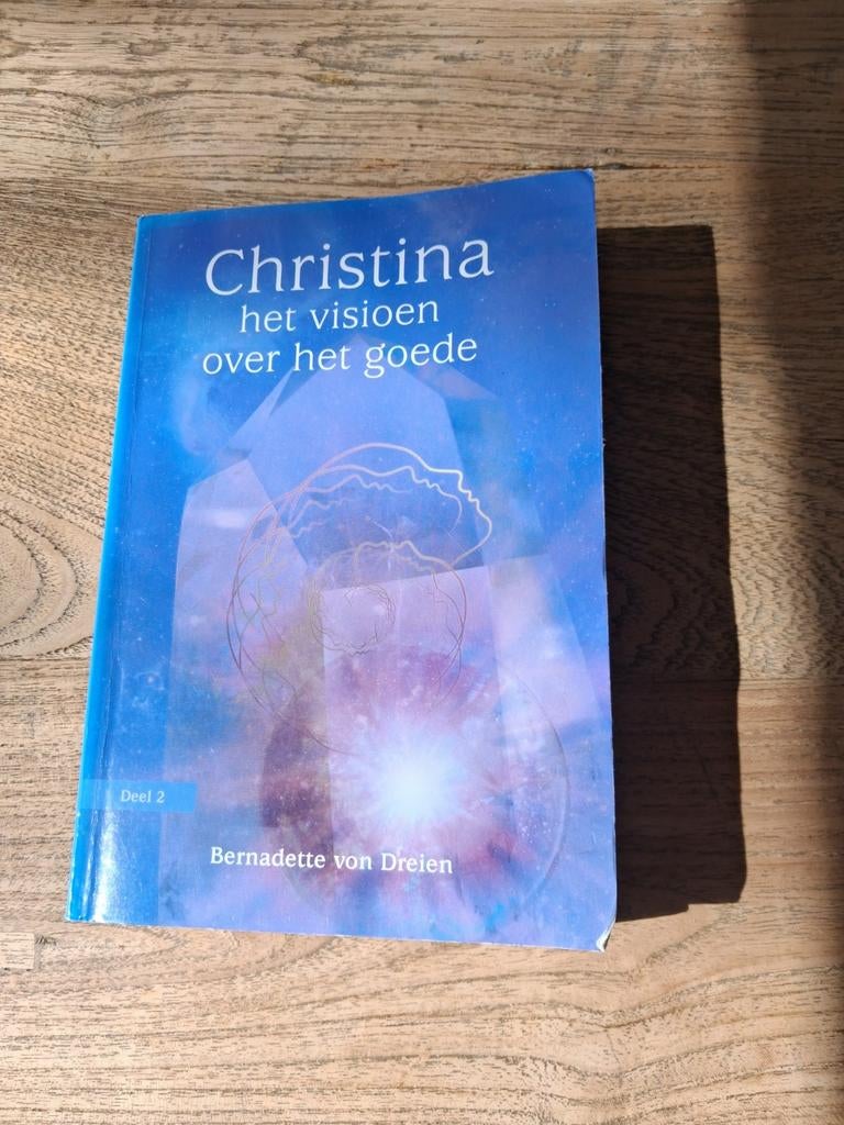 Bernadette von Dreien - Het visioen over het goede, Achtergrond en Informatie, Spiritualiteit algemeen, Ophalen of Verzenden, Zo goed als nieuw
