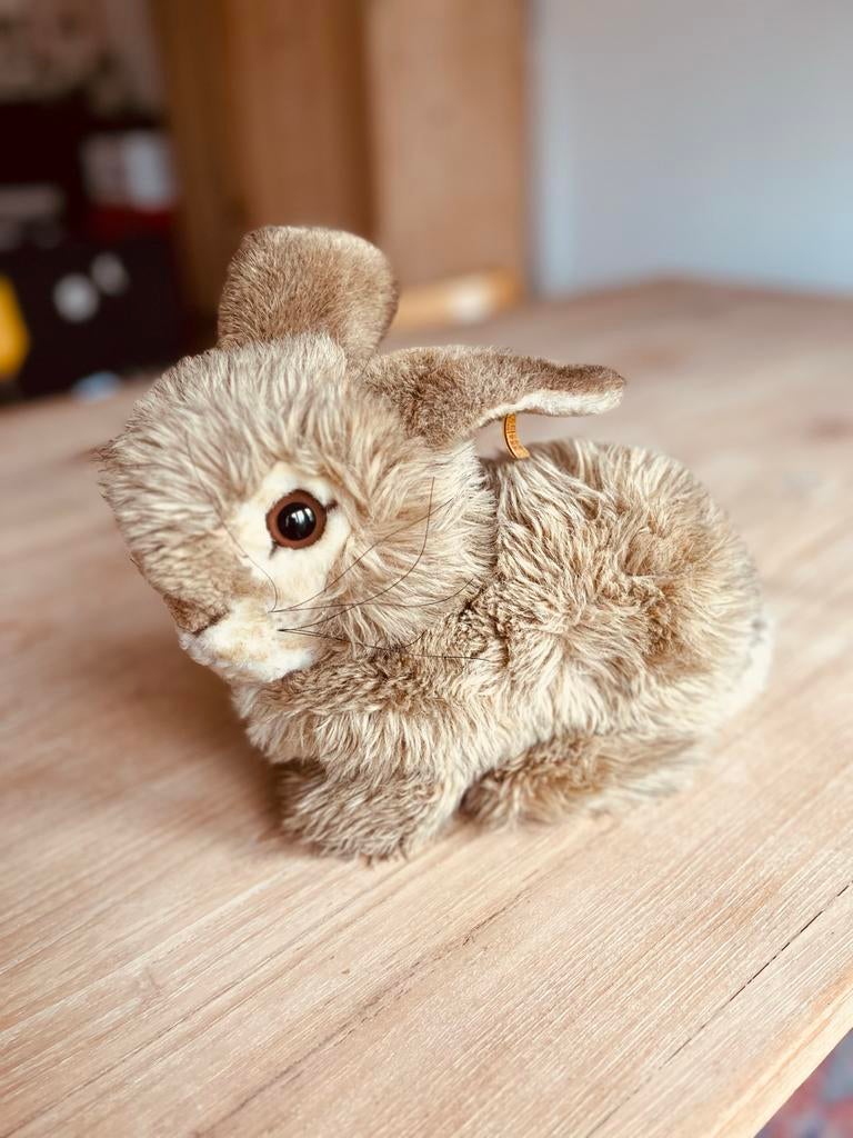 Originele Steiff Knopf-im-Ohr konijn jaren '70, 27 cm, Ophalen of Verzenden, Gebruikt, Konijn
