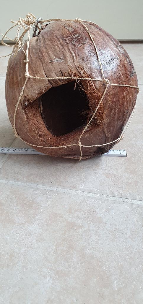 Kokosnoot als broedhok voor vogels., Ophalen of Verzenden, Nieuw, Overige typen