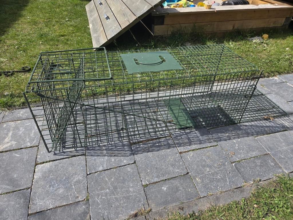 Vangkooi/dierenval te koop, Ophalen of Verzenden, Ongediertebestrijding