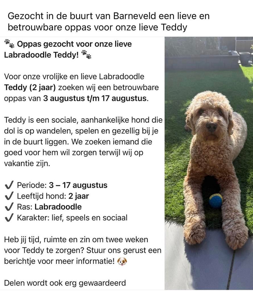 Gezocht een lieve oppas, Ophalen