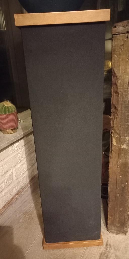 Zwarte staande luidspreker met houten accenten, Ophalen of Verzenden, Front, Rear of Stereo speakers, Philips