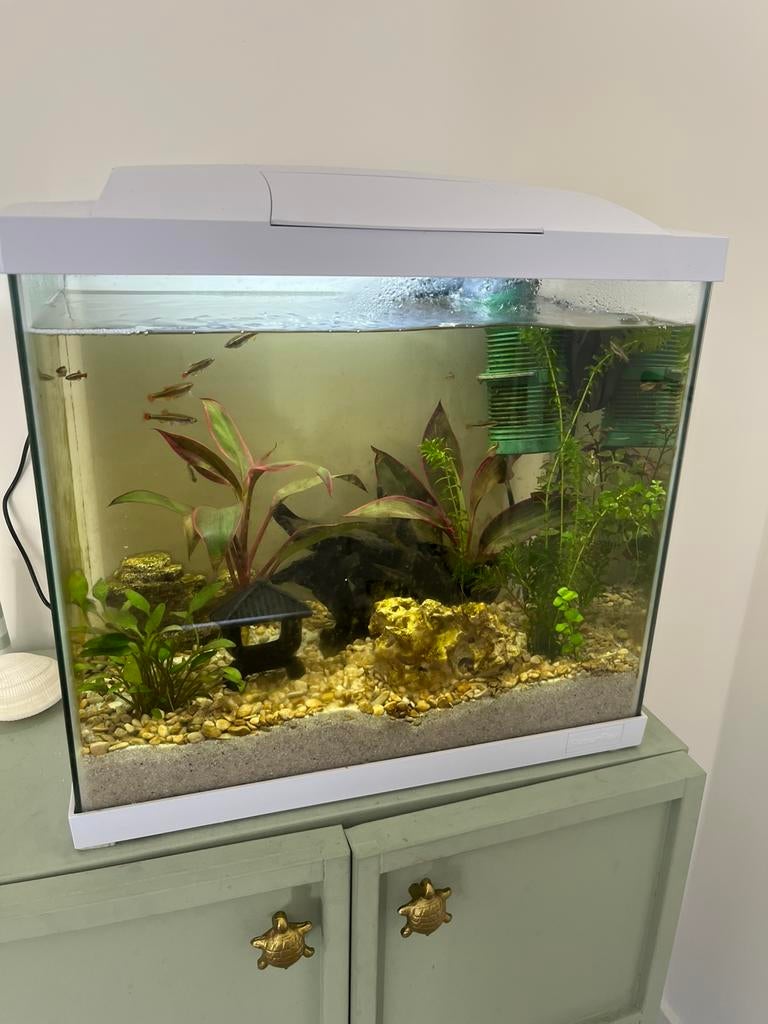 Superfish Aqaurium 50 liter, Dieren en Toebehoren, Ophalen, Zo goed als nieuw, Leeg aquarium