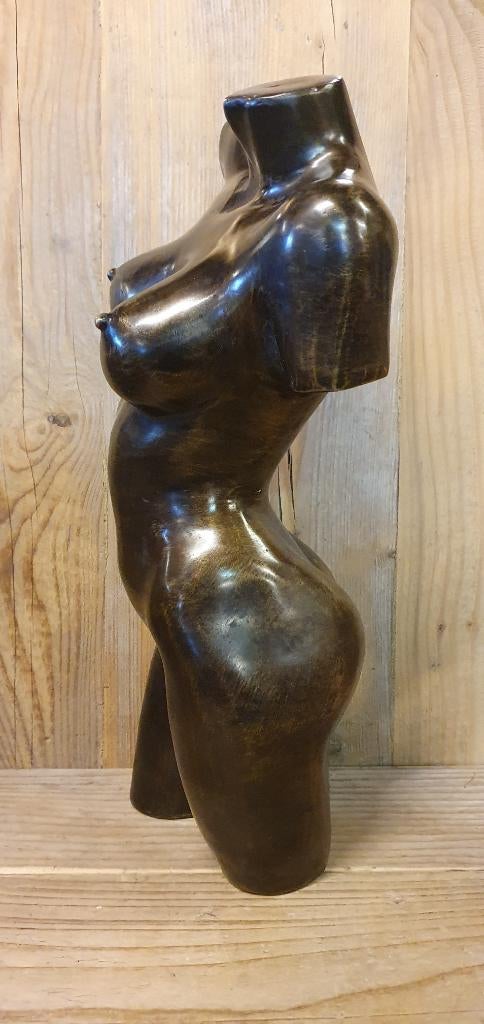 TORSO / MAN/ VROUW / Bronzen beeld, Ophalen of Verzenden, Brons