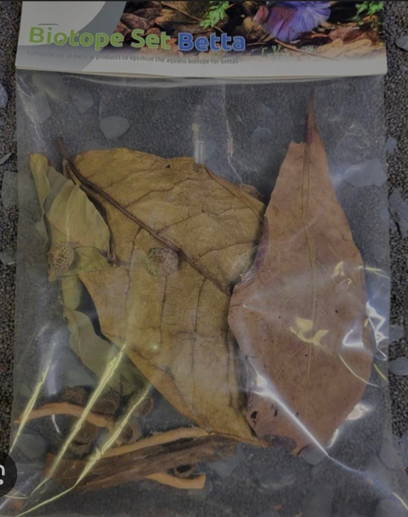 Betta biothoop set!, Ophalen, Nieuw, Plant(en), Steen of Hout